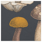 Wild Mushrooms on Grafit Stoff (Nahaufnahme)