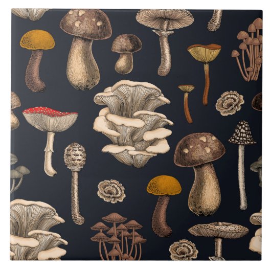 Wild Mushrooms on graphite black Fliese (Vorderseite)
