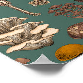 Wild Mushrooms on pine green Poster (Ecke)