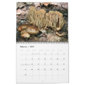 Wild Mushrooms Photography  Kalender (Feb 2027)