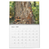 Wild Mushrooms Photography  Kalender (Mär 2027)
