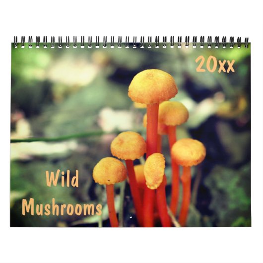 Wild Mushrooms Photography Kalender (Titelbild)