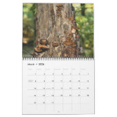 Wild Mushrooms Photography Kalender (Mär 2026)
