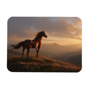 Wild Mustang beobachtet den Sonnenuntergang Magnet