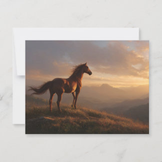Wild Mustang beobachtet den Sonnenuntergang Postkarte