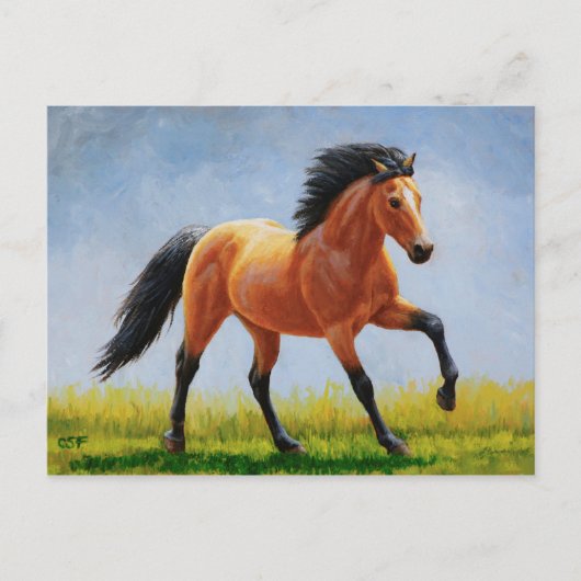 Wild Mustang Buckskin Horning Postkarte (Vorderseite)
