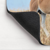 Wild Mustang Foal Mousepad (Ecke)