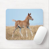 Wild Mustang Foal Mousepad (Mit Mouse)
