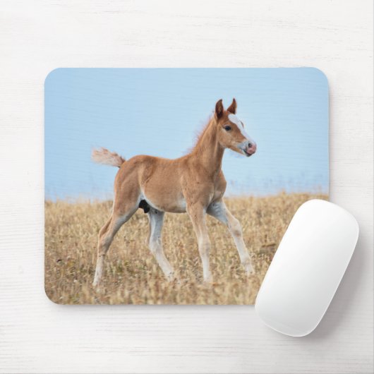Wild Mustang Foal Mousepad (Mit Mouse)