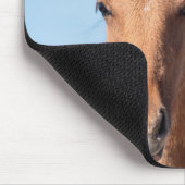 Wild Mustang Foal Mousepad (Ecke)