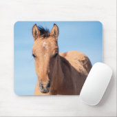 Wild Mustang Foal Mousepad (Mit Mouse)