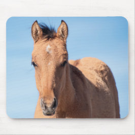 Wild Mustang Foal Mousepad