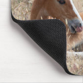 Wild Mustang Foal Mousepad (Ecke)