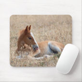 Wild Mustang Foal Mousepad (Mit Mouse)