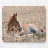 Wild Mustang Foal Mousepad (Vorne)