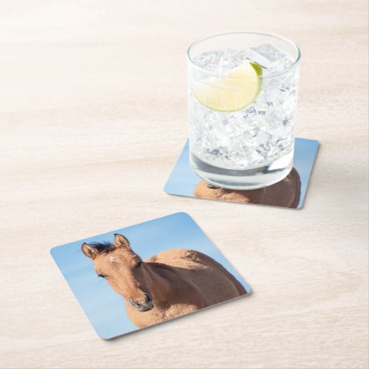 Wild Mustang Foal Rechteckiger Pappuntersetzer (Vor Ort)