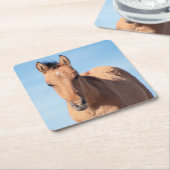 Wild Mustang Foal Rechteckiger Pappuntersetzer (angewinkelt)