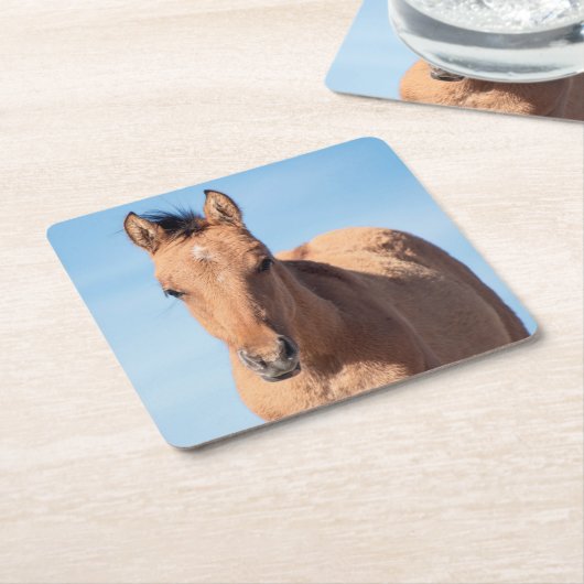 Wild Mustang Foal Rechteckiger Pappuntersetzer (angewinkelt)