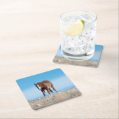 Wild Mustang Foal Rechteckiger Pappuntersetzer (Vor Ort)