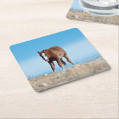 Wild Mustang Foal Rechteckiger Pappuntersetzer (angewinkelt)
