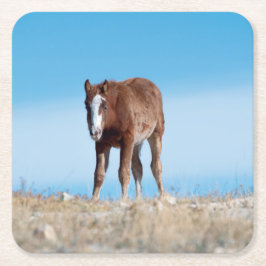 Wild Mustang Foal Rechteckiger Pappuntersetzer