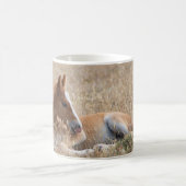 Wild Mustang Foal Tasse (Mittel)