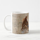 Wild Mustang Foal Tasse (Links)