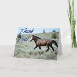 Wild Mustang Foto Danke, Card Dankeskarte