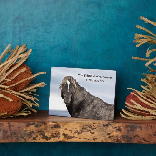 Wild Mustang Fotoplatte (Seite)