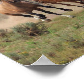Wild Mustang Herd Poster (Ecke)