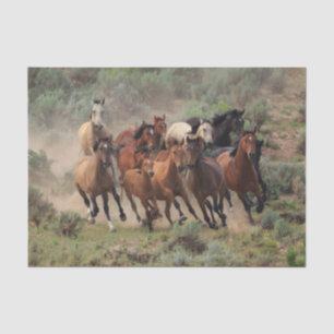 Wild Mustang Herd Seidenpapier