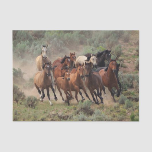 Wild Mustang Herd Seidenpapier (Vorderseite)