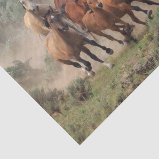 Wild Mustang Herd Seidenpapier (Ausschnitt)