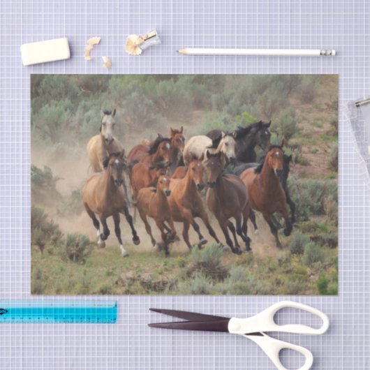 Wild Mustang Herd Seidenpapier (Handwerk)