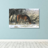 Wild Mustang Horse im Schnee 1 Leinwanddruck (Insitu (Holzboden))