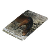 Wild Mustang Horse im Schnee 1 Magnet (Linke Seite)
