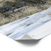 Wild Mustang Horse im Schnee 1 Poster (Ecke)