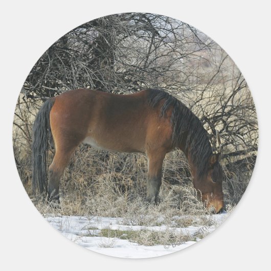 Wild Mustang Horse im Schnee 1 Runder Aufkleber (Vorderseite)