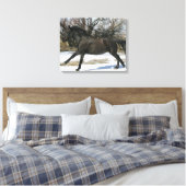 Wild Mustang Horse im Schnee 2 Leinwanddruck (Insitu (Schlafzimmer))