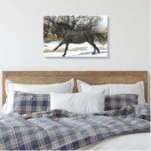 Wild Mustang Horse im Schnee 2 Leinwanddruck (Insitu (Schlafzimmer))