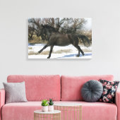 Wild Mustang Horse im Schnee 2 Leinwanddruck (Insitu (Wohnzimmer))