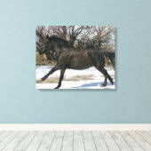 Wild Mustang Horse im Schnee 2 Leinwanddruck (Insitu (Holzboden))