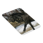 Wild Mustang Horse im Schnee 2 Magnet (Rechte Seite)