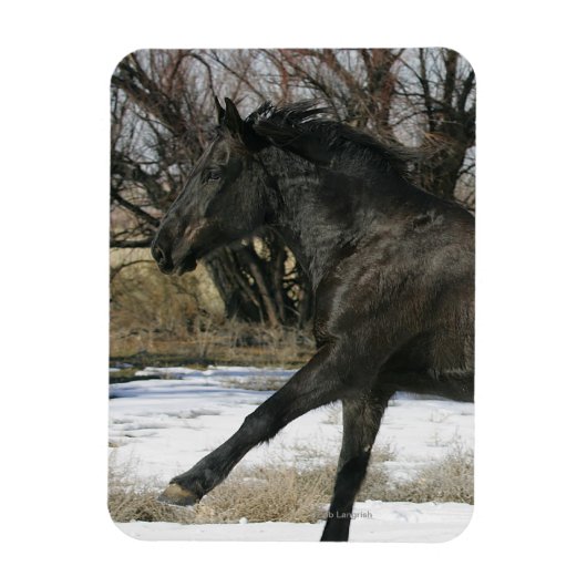 Wild Mustang Horse im Schnee 2 Magnet (Vertikal)