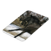 Wild Mustang Horse im Schnee 2 Magnet (Linke Seite)