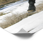 Wild Mustang Horse im Schnee 2 Poster (Ecke)