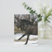 Wild Mustang Horse im Schnee 2 Postkarte (Stehend Vorderseite)