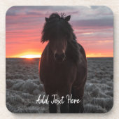 Wild Mustang Horse im Sonnenuntergang Getränkeuntersetzer (Vorderseite)