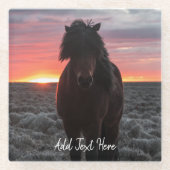 Wild Mustang Horse im Sonnenuntergang Glasuntersetzer (Vorderseite)