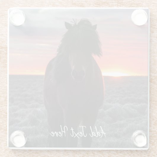 Wild Mustang Horse im Sonnenuntergang Glasuntersetzer (Rückseite)